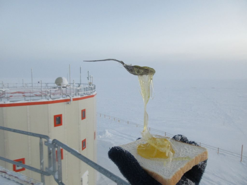 Illustration for article titled Welcome to Antarctic Food